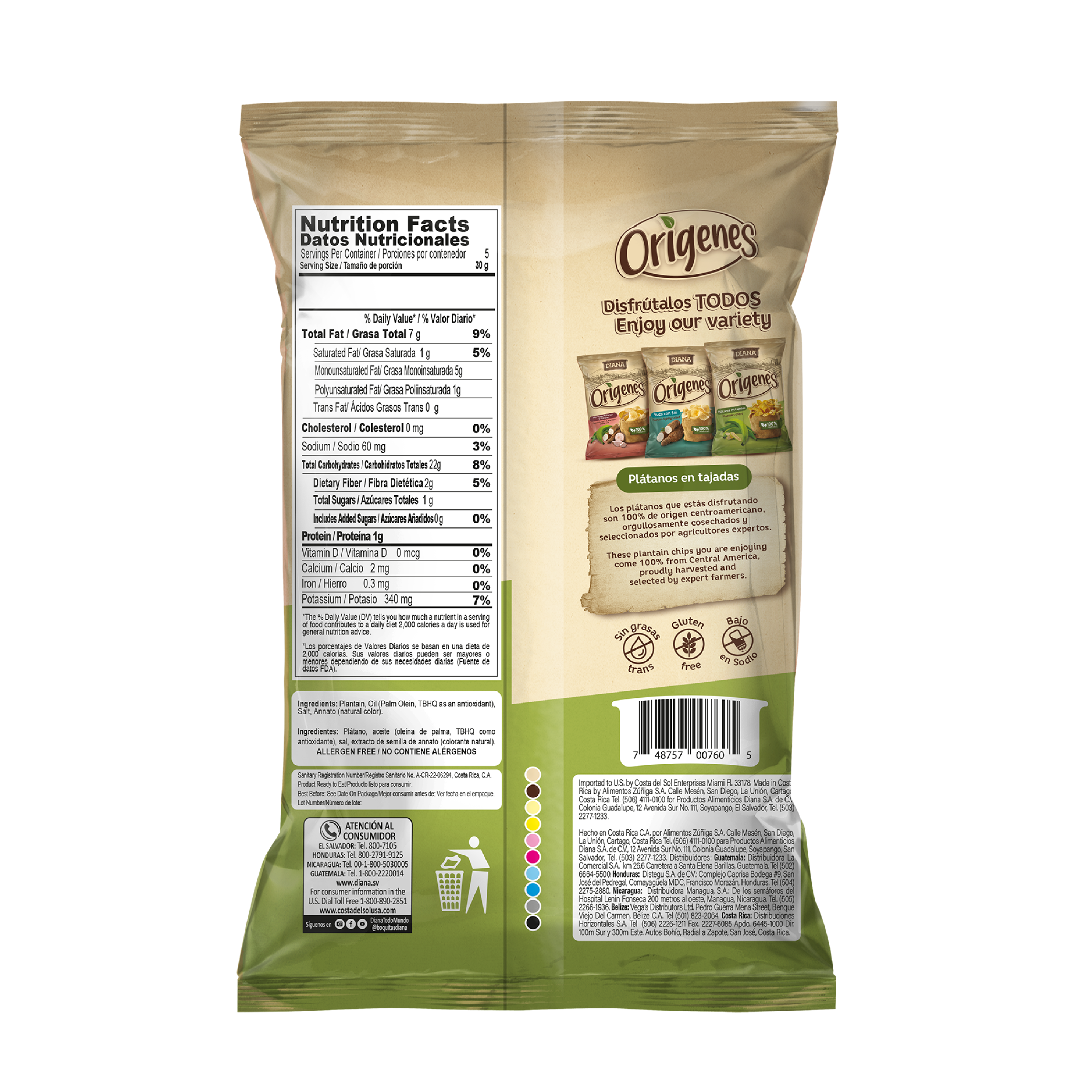 ORIGENES-PLATANO-BACK